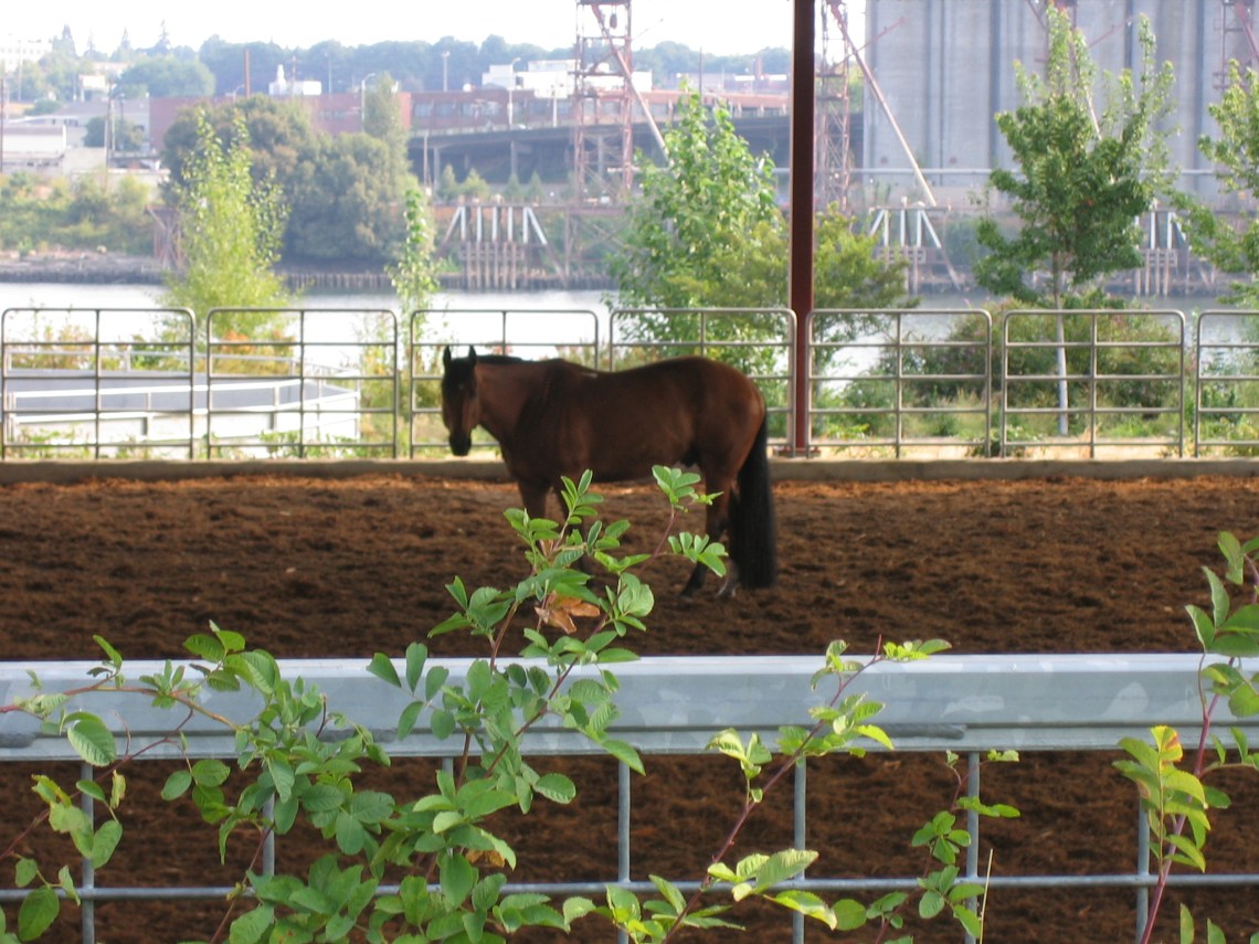 photo J.Paradisi 2007