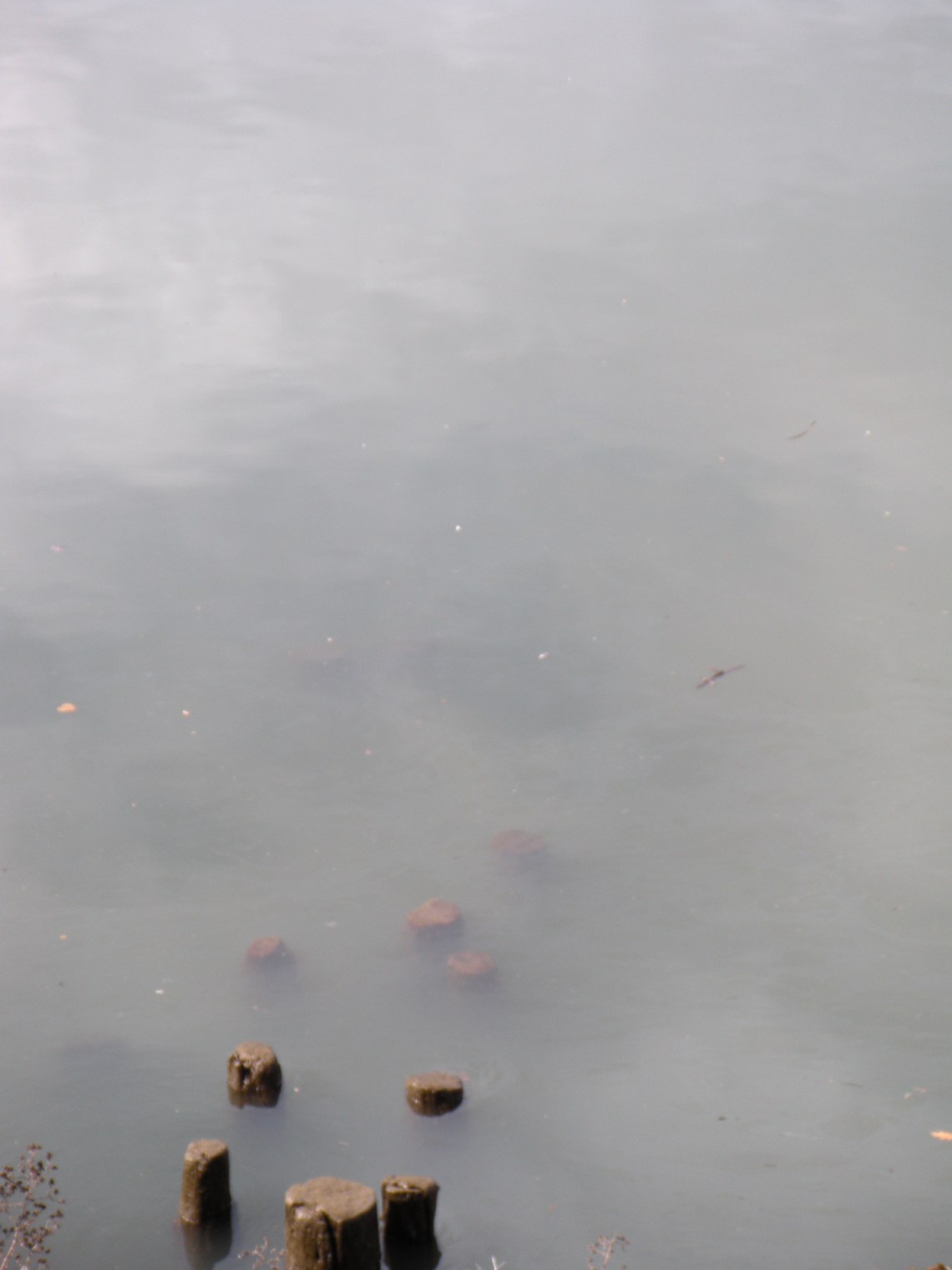 photo: J.Paradisi 2009