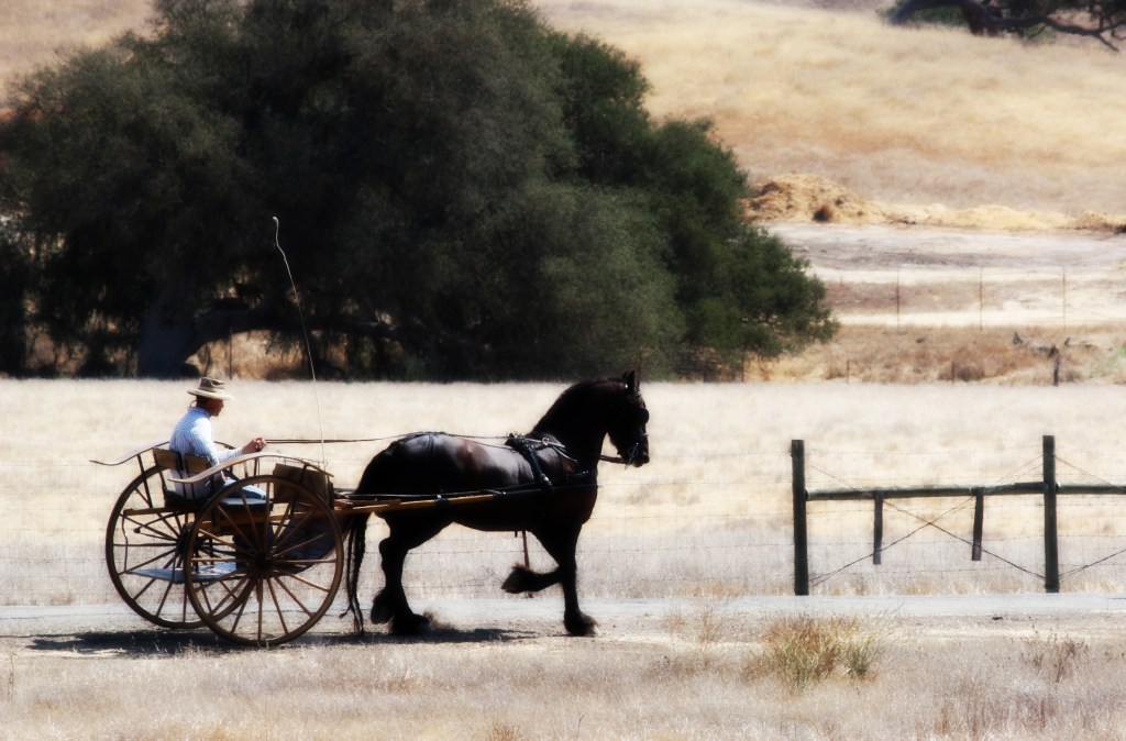 horse&cart - Copy