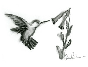 Hummingbird by jparadisi