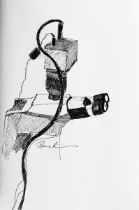 Digital Microscope ink on paper 2016 by Julianna Paradisi