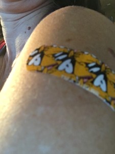 Flu shot? Yes. Check that box